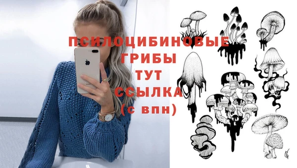 герыч Абинск