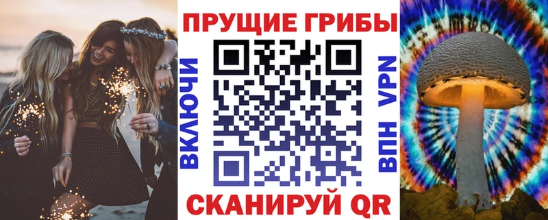 omg ССЫЛКА  Урюпинск  Галлюциногенные грибы Cubensis 